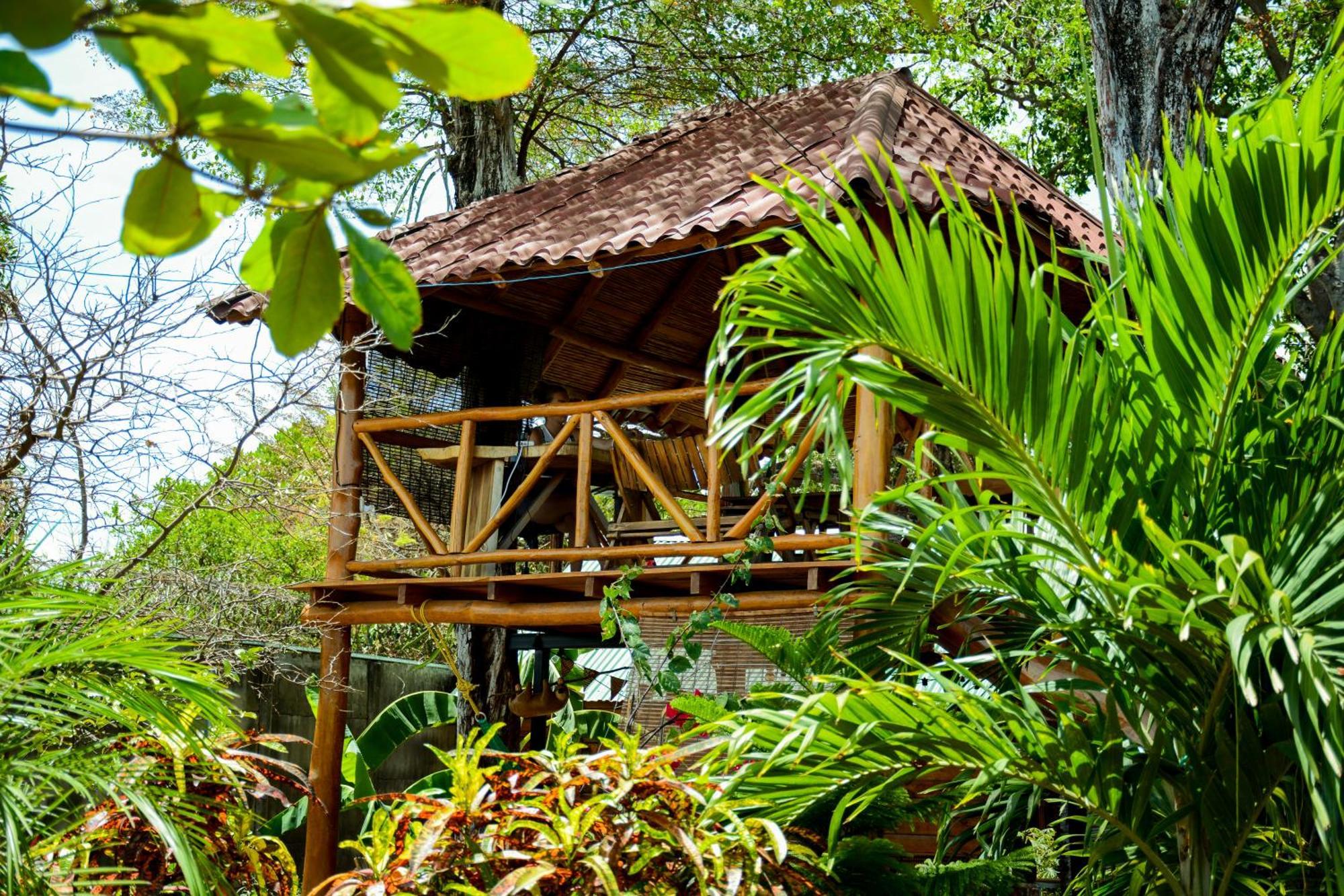 Casa Caracola Otel Granada Dış mekan fotoğraf